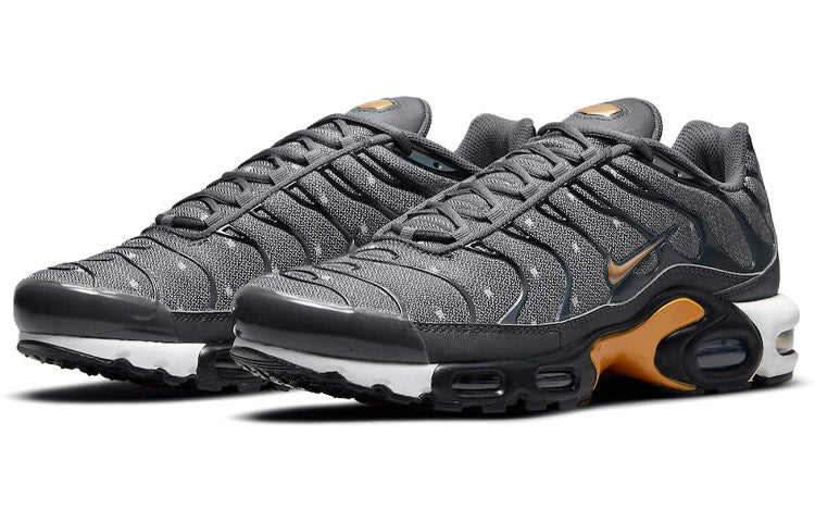 Nike Air Max Plus SE 'Iron Grey Metallic Gold' DM7570-002 KICKSOVER