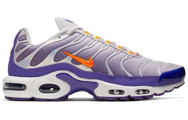 Air Max Plus Color Flip Pack Grape Color Flip CI5924-531 KICKSOVER