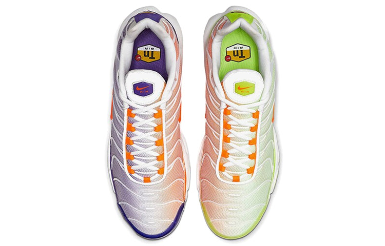 Air Max Plus Color Flip Pack Grape Color Flip CI5924-531 KICKSOVER