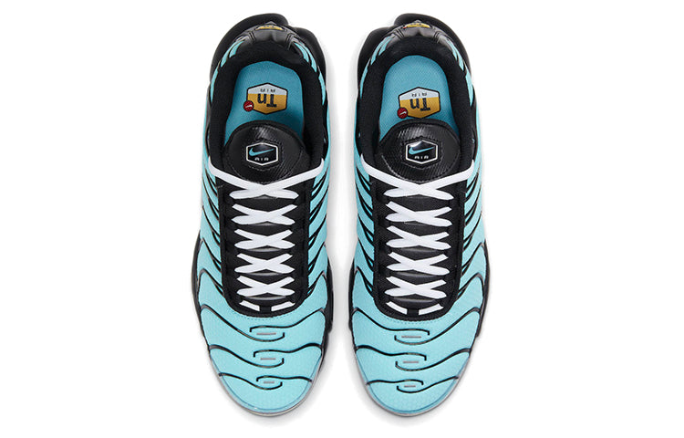 Nike Air Max Plus 'Aqua Silver' Aqua/Metallic Silver/Black CV8838-400 KICKSOVER