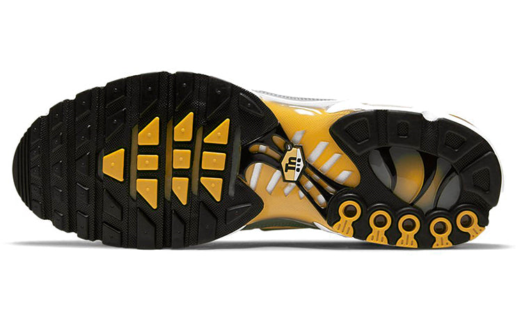 Nike Air Max Plus Grey/White DD7111-001 KICKSOVER