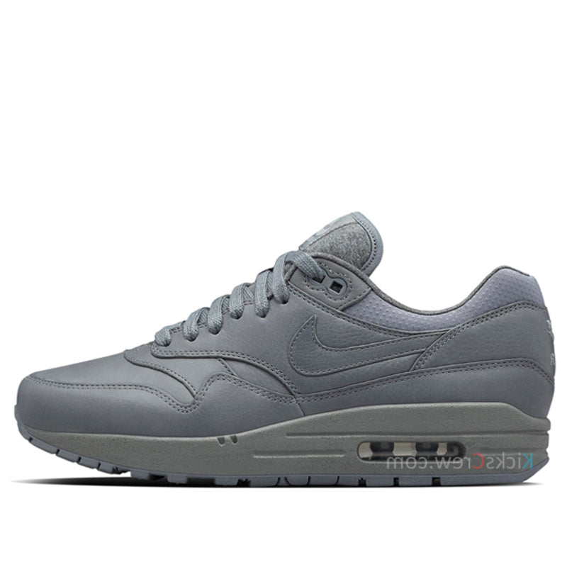 Nike Womens Air Max 1 Pinnacle Cool Grey 839608-002 KICKSOVER