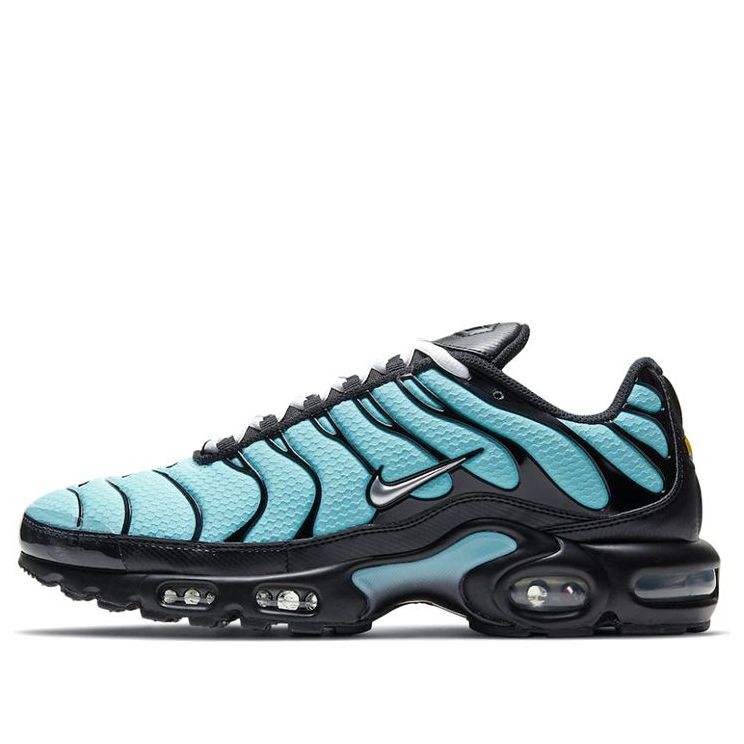 Nike Air Max Plus 'Aqua Silver' Aqua/Metallic Silver/Black CV8838-400 KICKSOVER