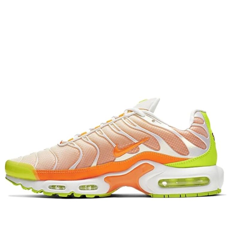 Air Max Plus Color Flip Pack Grape Color Flip CI5924-531 KICKSOVER
