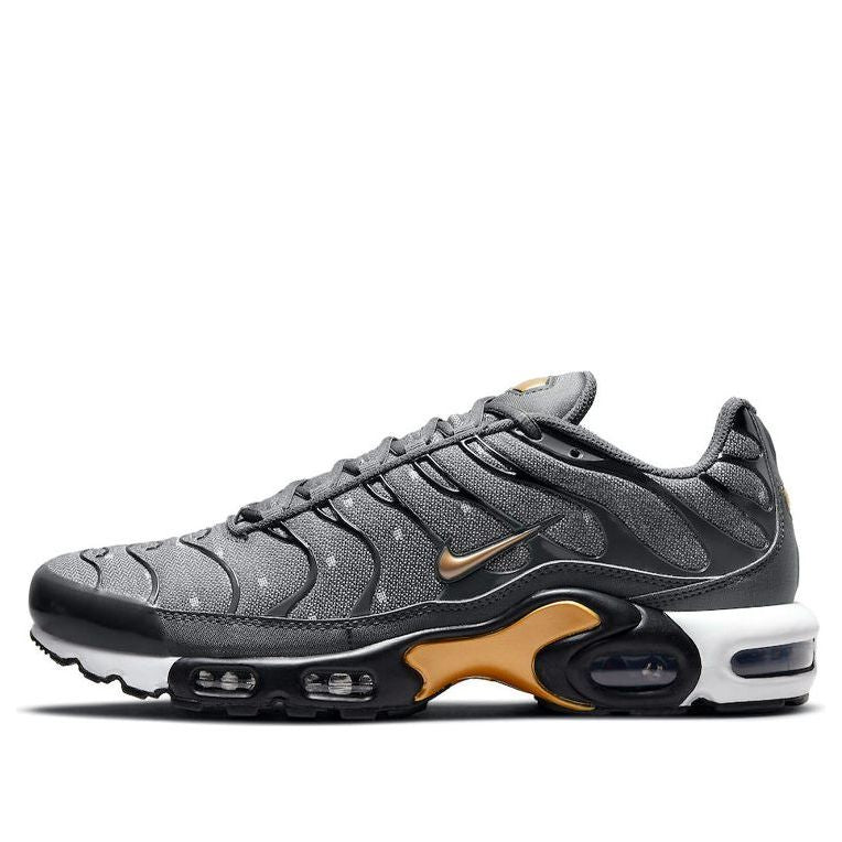 Nike Air Max Plus SE 'Iron Grey Metallic Gold' DM7570-002 KICKSOVER