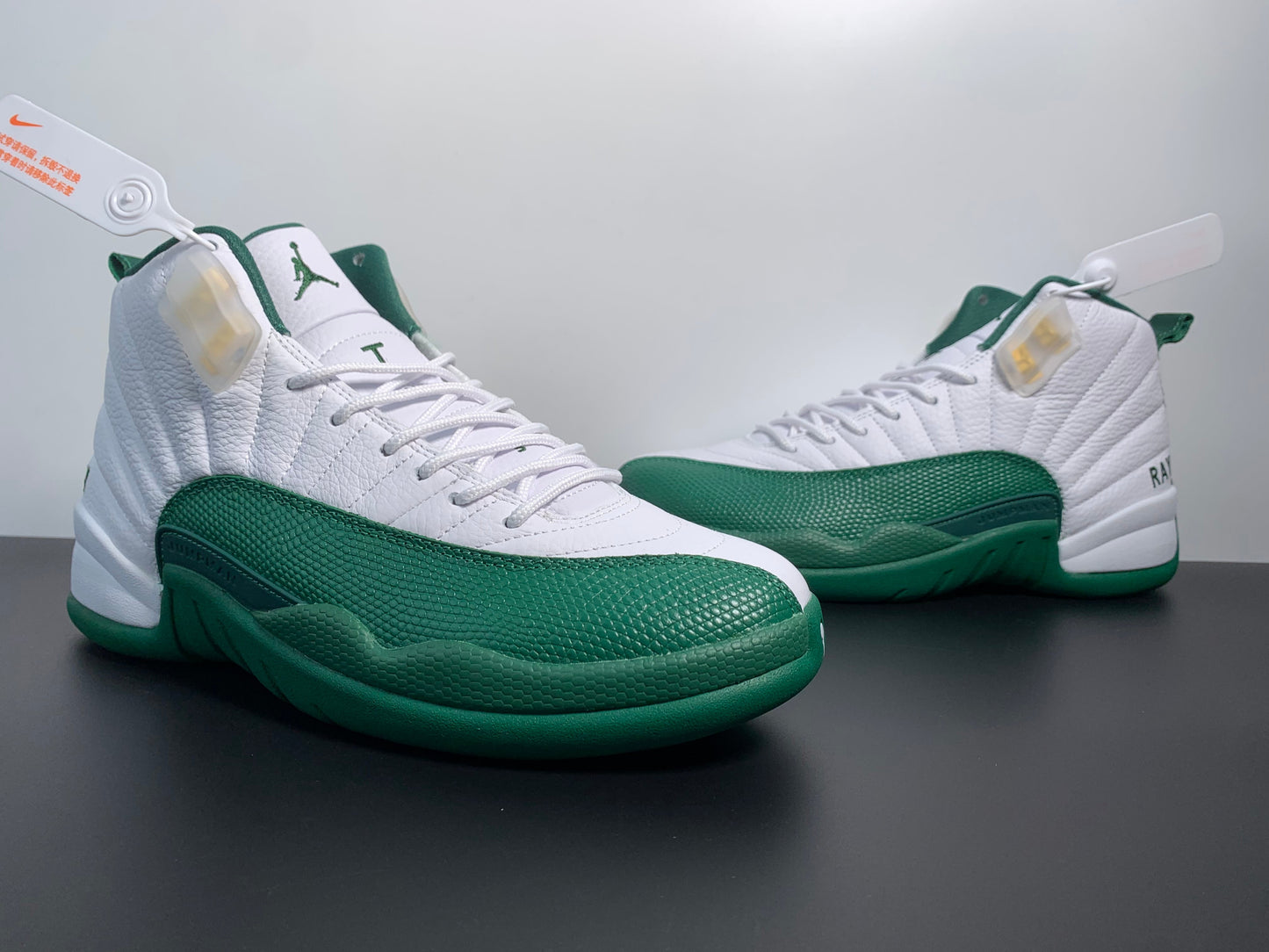 Air Jordan 12 PE Ray Allen