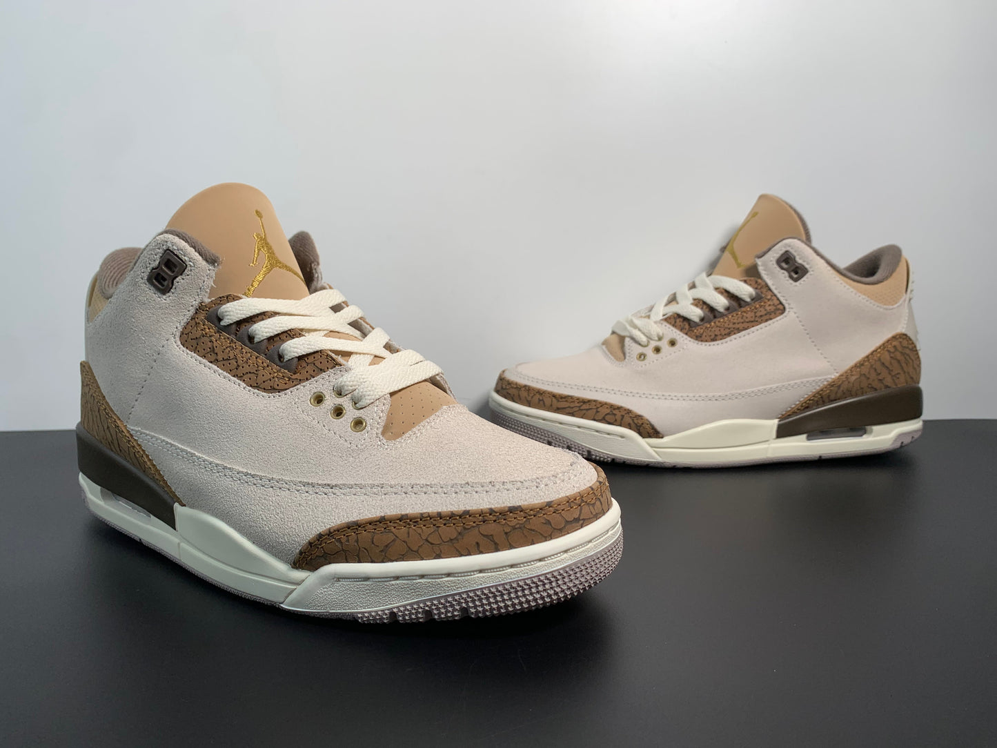 Air Jordan 3 Palomino CT8532-102