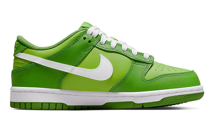 Nike Dunk Low DJ6188-301 sneakmarks