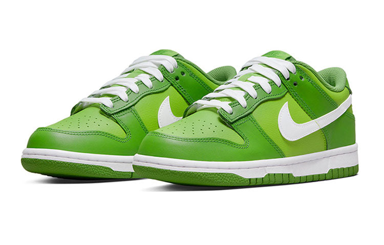 Nike Dunk Low DJ6188-301 sneakmarks