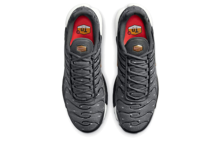 Nike Air Max Plus SE 'Iron Grey Metallic Gold' DM7570-002 KICKSOVER