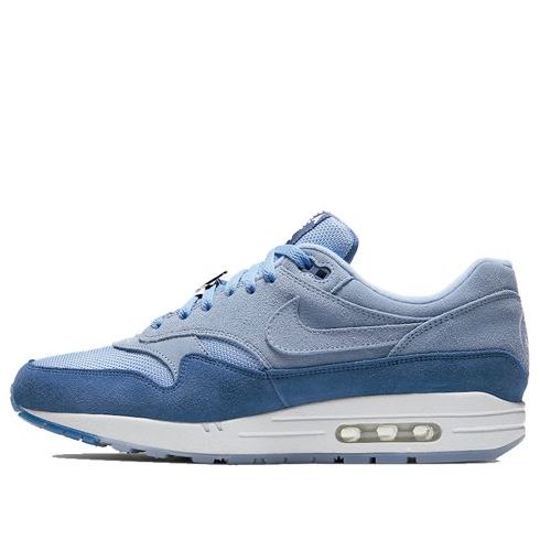 Nike Air Max 1 'Have A Day' Aluminum/Indigo Storm/White BQ8929-400 KICKSOVER