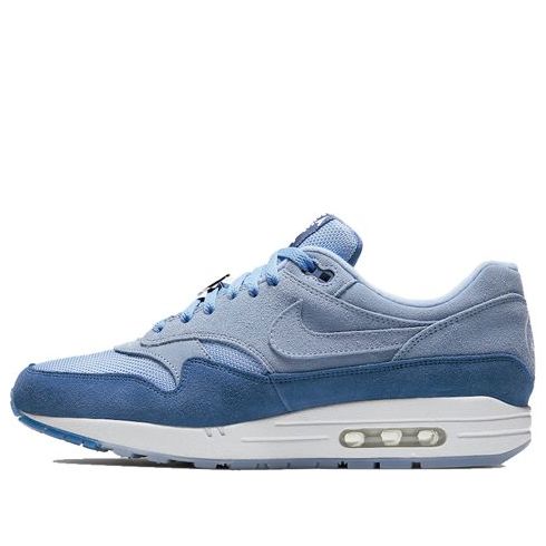 Nike Air Max 1 'Have A Day' Aluminum/Indigo Storm/White BQ8929-400 KICKSOVER